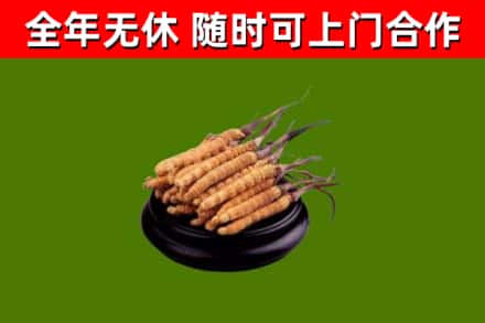 安泽县烟酒回收冬虫夏草.jpg